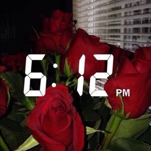 Meet your Posher, Berenice